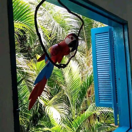 Casa Ilhabela A Cinco Minutos Do Centro Villa ภายนอก รูปภาพ