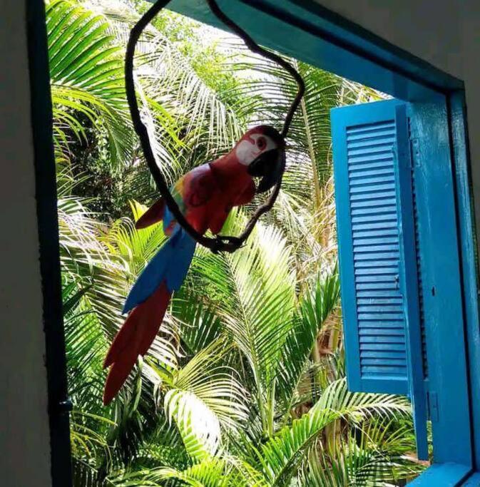 Casa Ilhabela A Cinco Minutos Do Centro Villa ภายนอก รูปภาพ